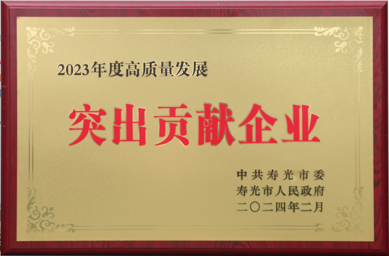 晨鳴集團(tuán)榮獲“2023年度高質(zhì)量發(fā)展突出貢獻(xiàn)企業(yè)”